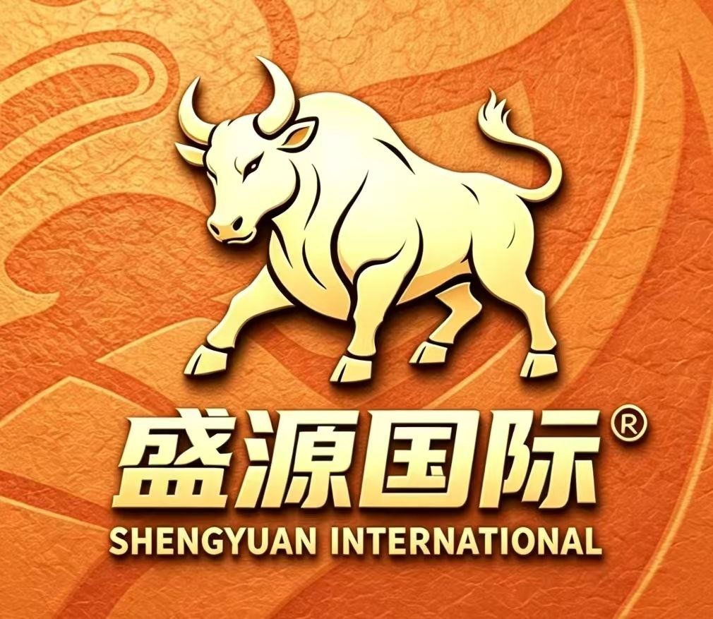 盛源国际